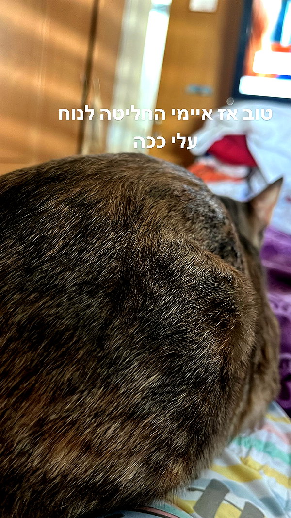 Archived image from @notchicore on Instagram