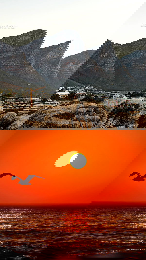 taylor.creeden taylor.creeden archive image