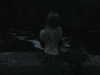 ash.onme Altpins Profile Picture