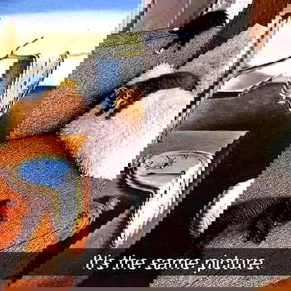 missnyxdawn missnyxdawn archive image