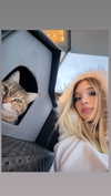 alice_delish Altpins Profile Picture