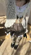 f4iryybl00d Altpins Profile Picture