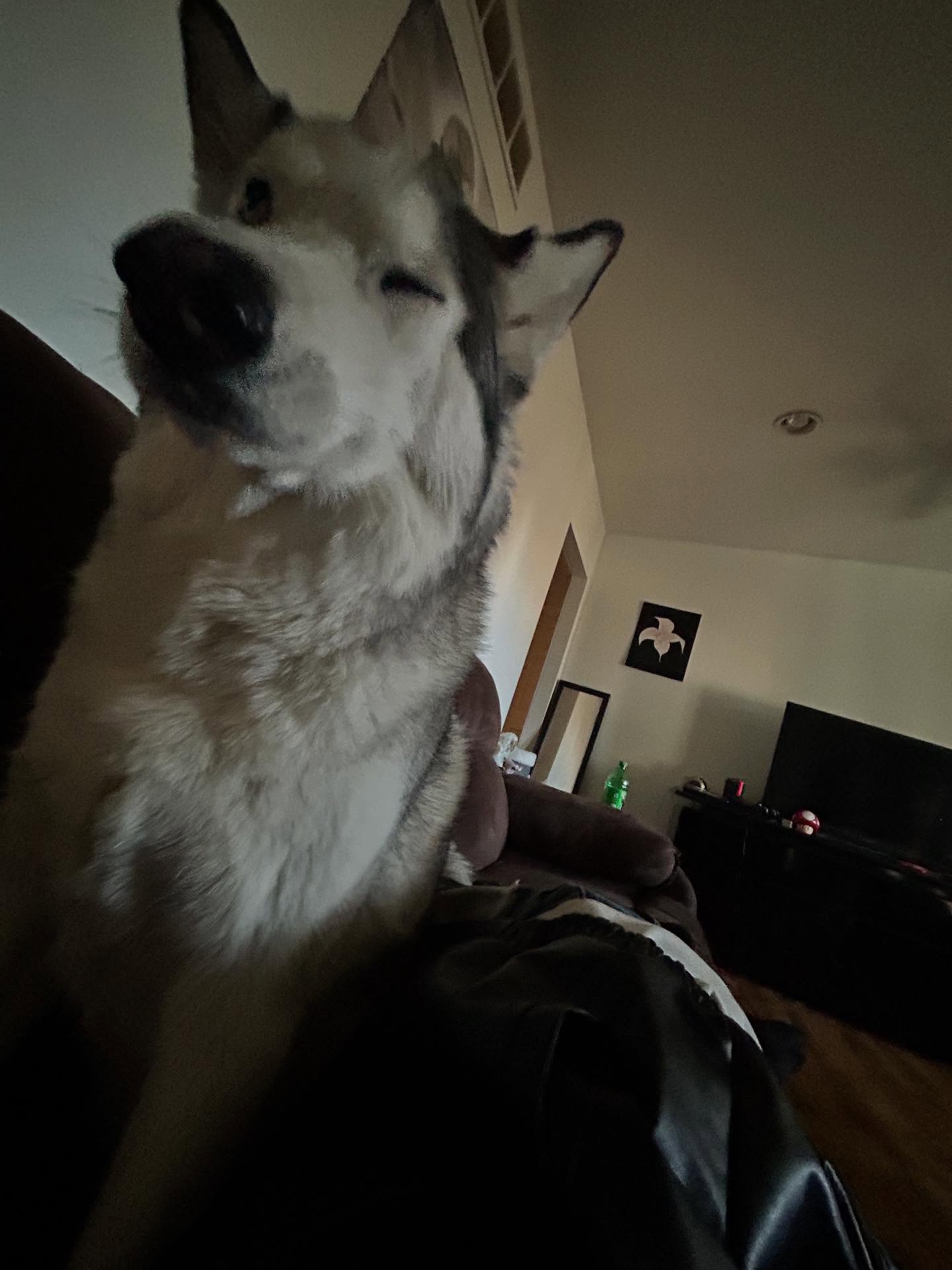 _animechika_ instagram image archive image