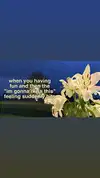 _ann.kim_ Altpins Profile Picture