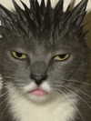 nyxaainaaa_ Altpins Profile Picture