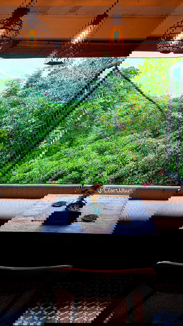 taylor.creeden taylor.creeden archive image