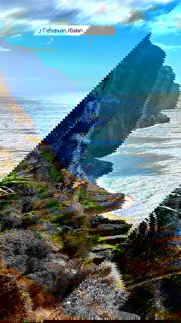 taylor.creeden taylor.creeden archive image