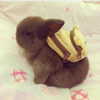 sychevskaya Altpins Profile Picture