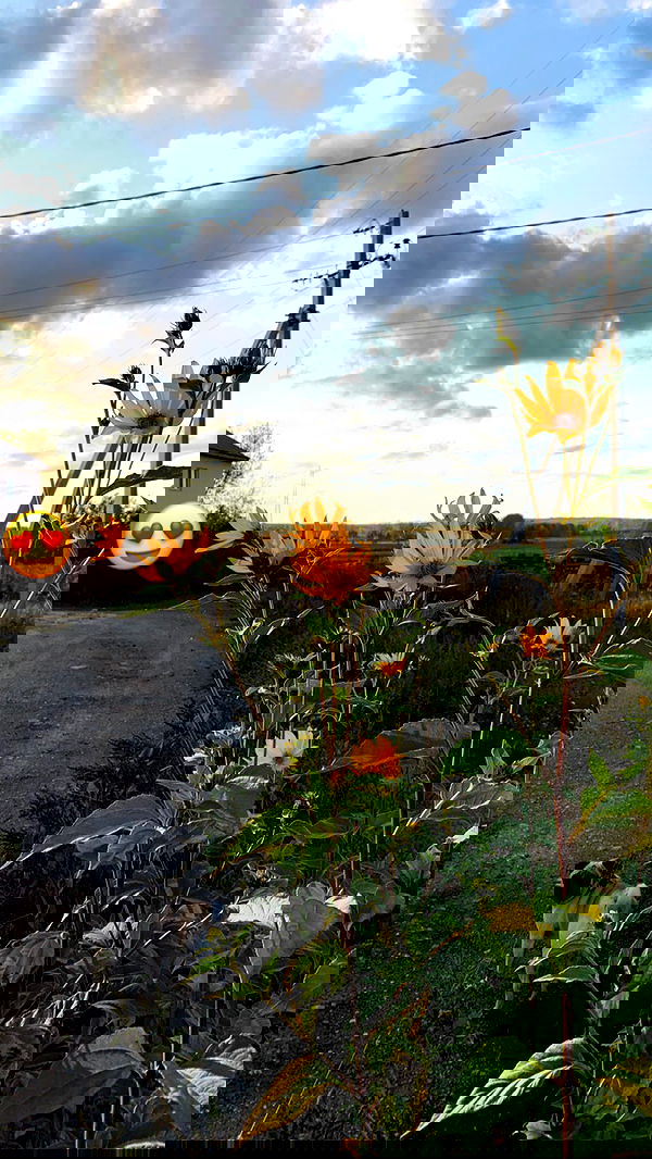 nyityam nyityam archive image