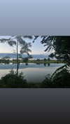 m1lkh8club Altpins Profile Picture