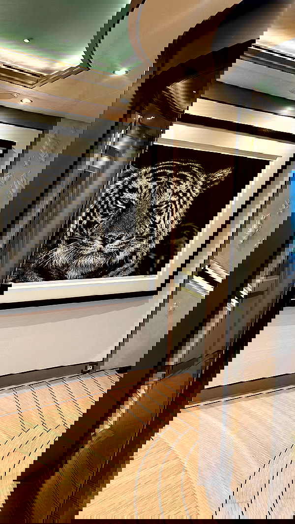 taylor.creeden taylor.creeden archive image