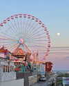 livia._.paige Altpins Profile Picture