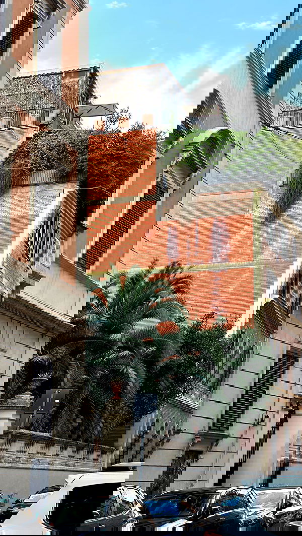 manjolamuriqi manjolamuriqi archive image