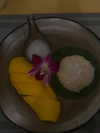 mariagabrielasantos Altpins Profile Picture