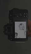melbruno Altpins Profile Picture