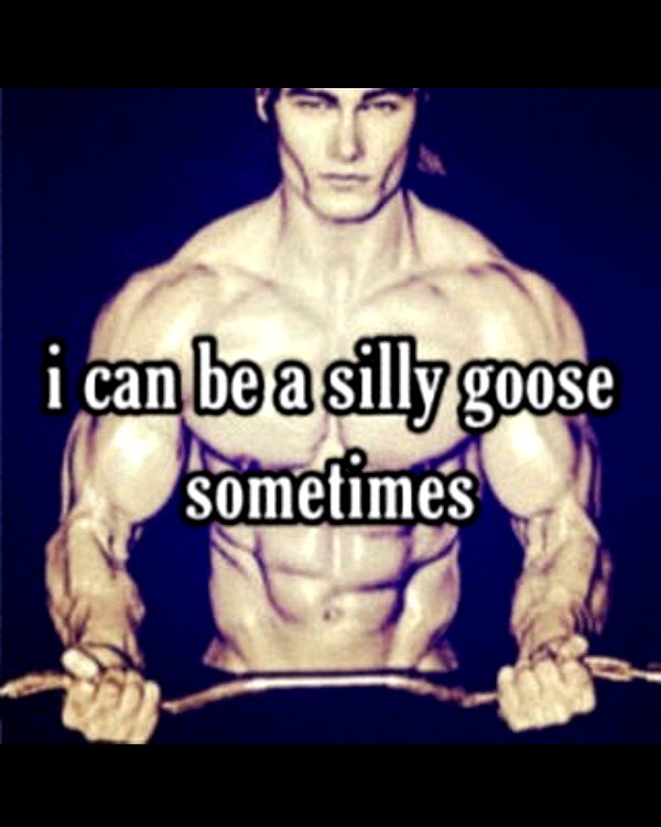 leanbeefpatty instagram image archive image