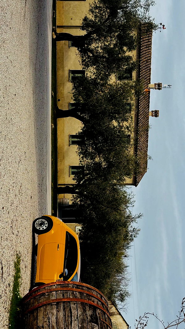 annabottoo instagram image archive image