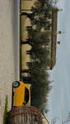 annabottoo Altpins Profile Picture