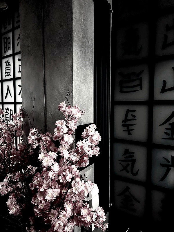 akasukye instagram image archive image