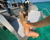 indigorose__ Altpins Profile Picture