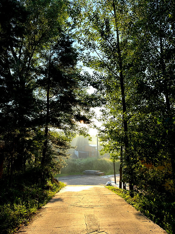 alskohope instagram image archive image
