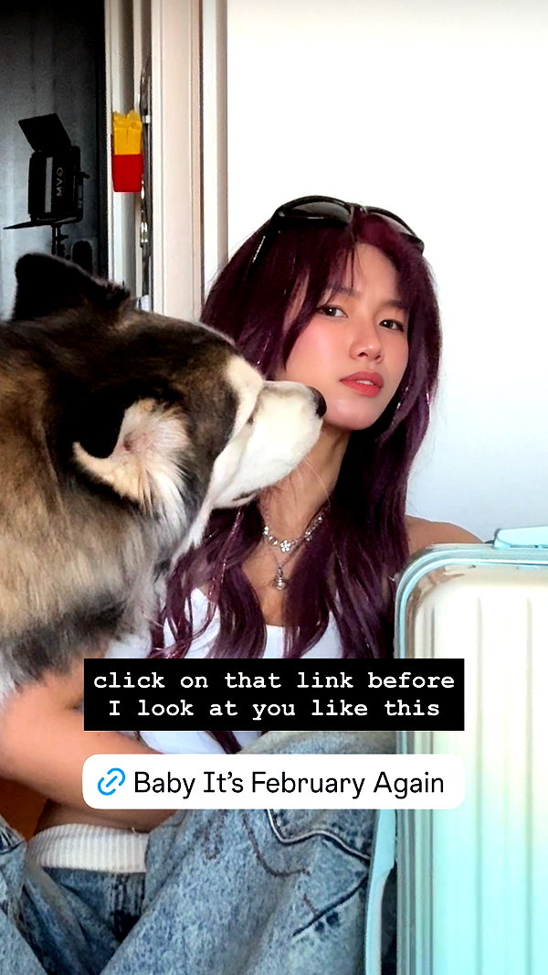 shulunc instagram image archive image
