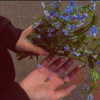 orman.mariee Altpins Profile Picture