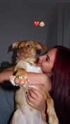 lera.genadenik Altpins Profile Picture