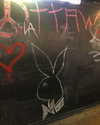 kaitfuckinglyn Altpins Profile Picture