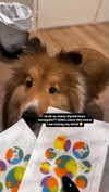 dearestsinner Altpins Profile Picture
