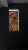 dwpolin Altpins Profile Picture