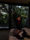 amatveyko Altpins Profile Picture