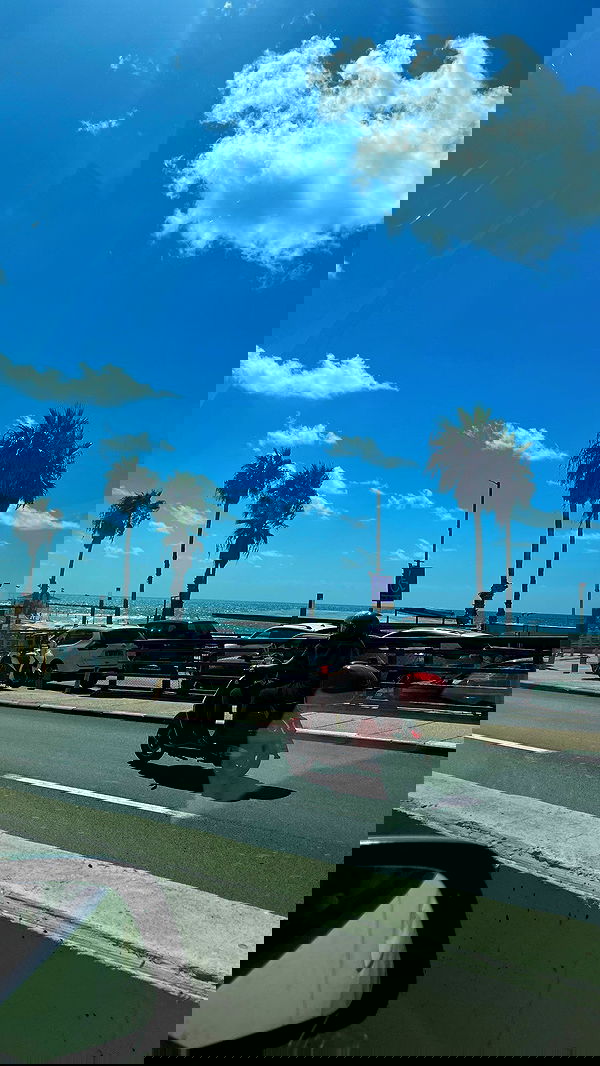 noammalka___ noammalka___ archive image