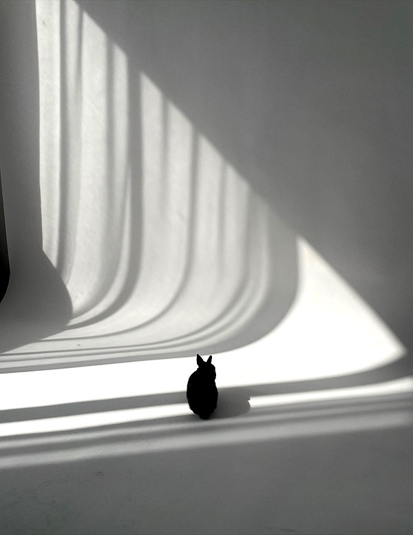 efrat_elmalich instagram image archive image