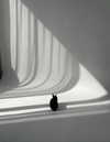 efrat_elmalich Altpins Profile Picture