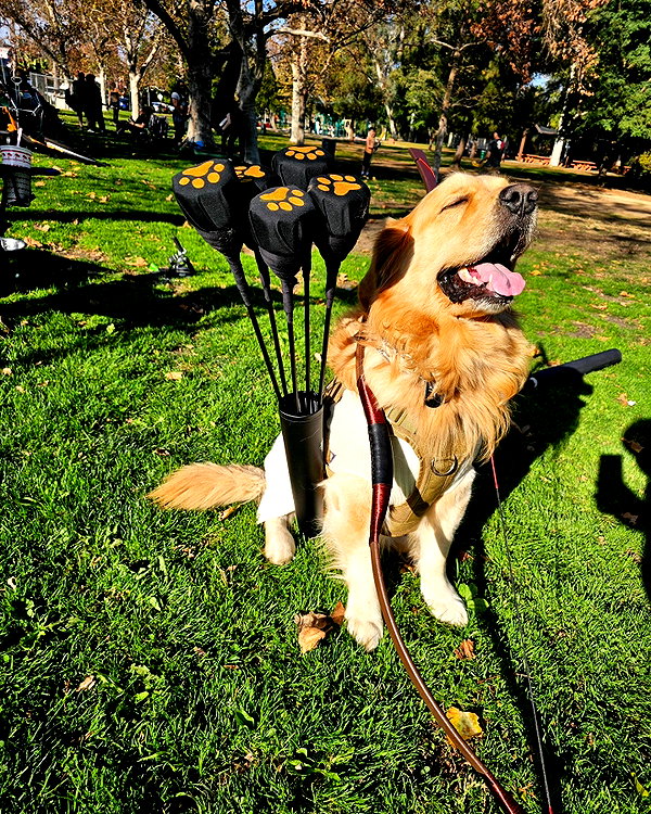 muze instagram image archive image