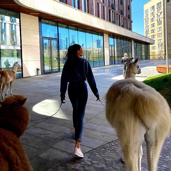 kafelnikova_a instagram image archive image