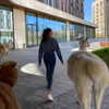 kafelnikova_a Altpins Profile Picture