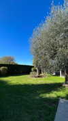 federica.piccinni Altpins Profile Picture