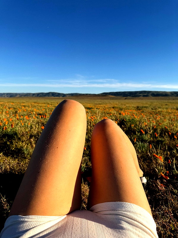 carolinezalog instagram image archive image