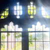 alicejaderockwell Altpins Profile Picture