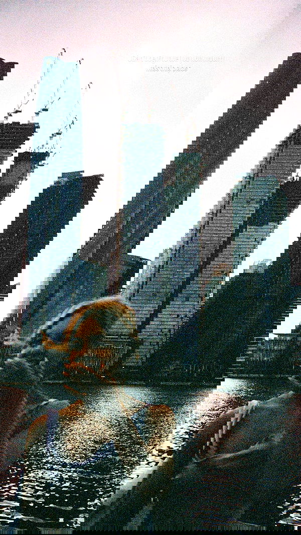 sydney_sweeney image ~ Altpins