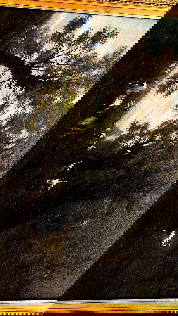 mishel116 mishel116 archive image