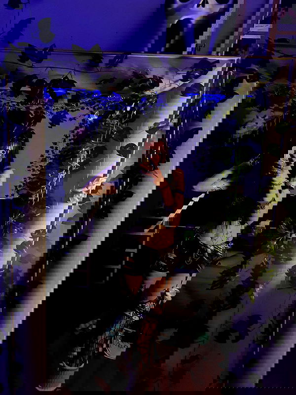 _animechika_ _animechika_ archive image