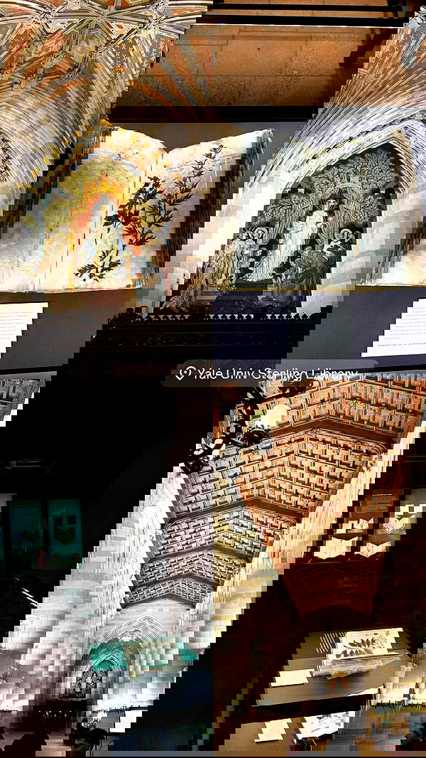 biton__adi biton__adi archive image