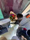 vanessa.rhd Altpins Profile Picture