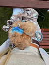 sophiecharlotth Altpins Profile Picture
