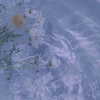 yuna_1_27 Altpins Profile Picture