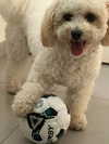shira_adar_ Altpins Profile Picture