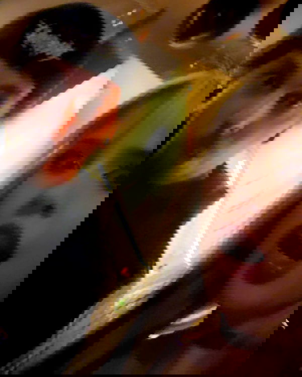 silkton image ~ Altpins